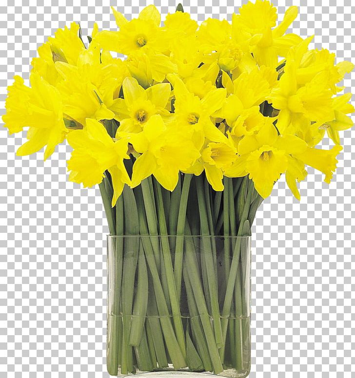 I Wandered Lonely As A Cloud Flower Narcissus Pseudonarcissus Hyacinth Tulip PNG, Clipart, Amaryllis Family, Bud, Bulb, Cut Flowers, Daffodil Free PNG Download