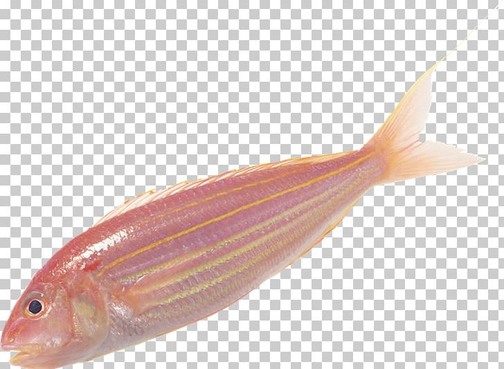 Milkfish Fish Soup Fish Scale PNG, Clipart, Animal Source Foods, Bony Fish, Cod, Data Compression, Fauna Free PNG Download