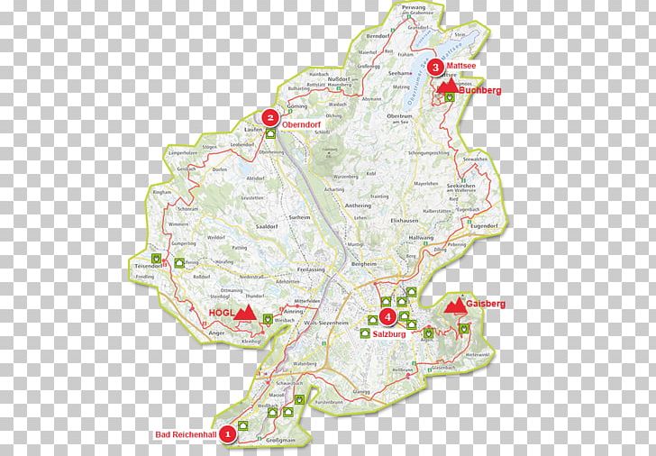Tree Map Tuberculosis PNG, Clipart, Area, Bicycle Touring, Map, Organism, Tree Free PNG Download
