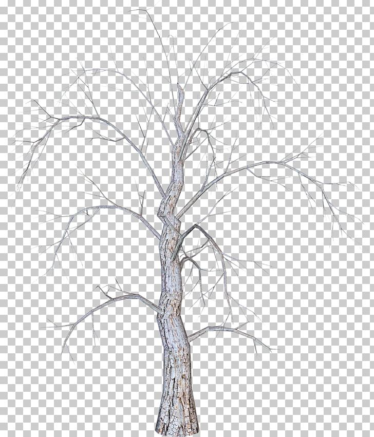 Twig Christmas Tree PNG, Clipart, Branch, Branches, Chris, Christmas, Coconut Tree Free PNG Download