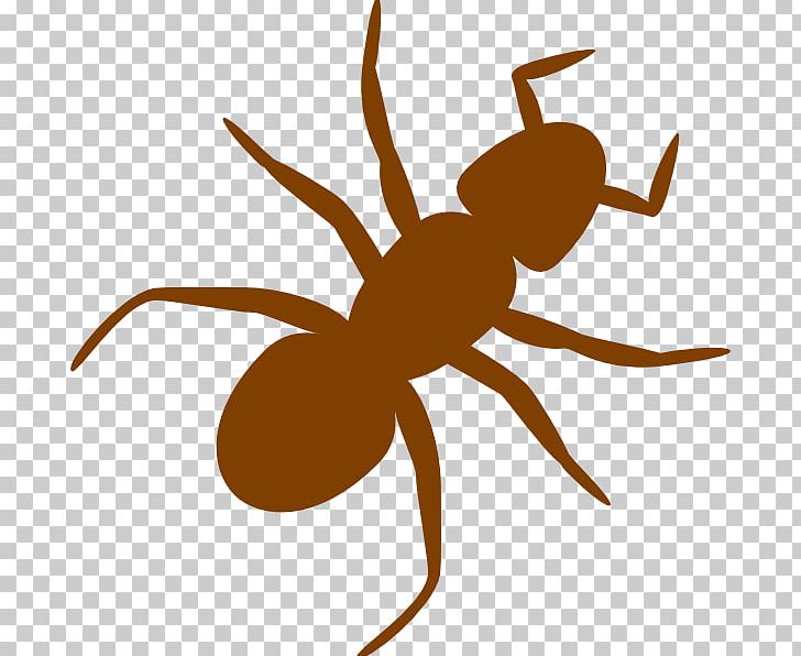 Black Garden Ant Insect PNG, Clipart, Animals, Ant, Antman, Art, Arthropod Free PNG Download