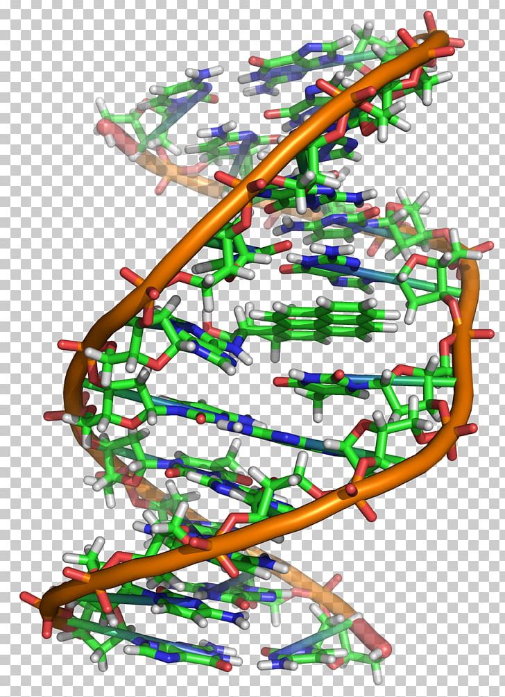 DNA Molecule Genetics Nucleic Acid RNA PNG, Clipart, Area, Biochemistry, Biology, Cell, Chemistry Free PNG Download