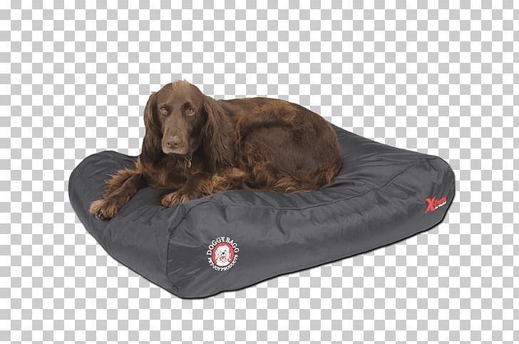 Dog Breed Field Spaniel Boykin Spaniel Pet Shop PNG, Clipart, Accessoires Dog, Bed, Boykin Spaniel, Breed, Dog Free PNG Download