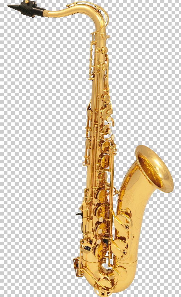 Henri Selmer Paris Tenor Saxophone Reference 54 Alto Saxophone PNG, Clipart, Alto Horn, Alto Saxophone, Balanced Action, Brass Instrument, Metal Free PNG Download