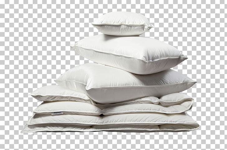 Kleen-Eco Ltd Laundry Duvet Futon Pillow PNG, Clipart, Biggleswade, Cleaner, Dry Cleaning, Dust Mites, Duvet Free PNG Download