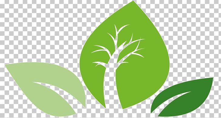 Leaf Logo Green Plant Stem Font PNG, Clipart, Grass, Green, Leaf, Logo, Oranjevliet Kwekerij Free PNG Download