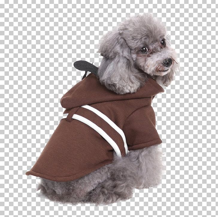 Miniature Poodle Standard Poodle Puppy Clothing Dog Breed PNG, Clipart, Animals, Cat, Clothing, Companion Dog, Costume Free PNG Download