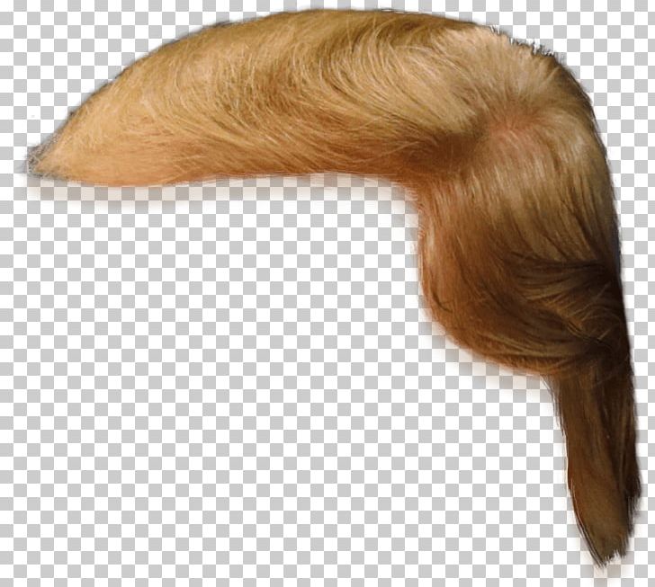 Hairstyle PNG, Clipart, Beard, Brown Hair, Clip Art, Donald Trump, Drawing Free PNG Download