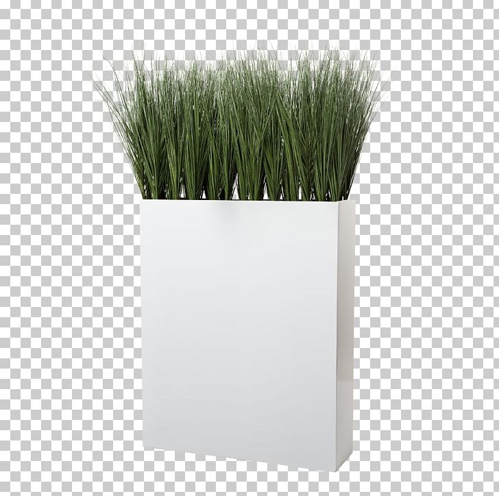 Ornamental Grass Grasses Tropical Woody Bamboos Flowerpot PNG, Clipart, Bamboos, Boat Orchid, Color, Flower, Flower Bouquet Free PNG Download