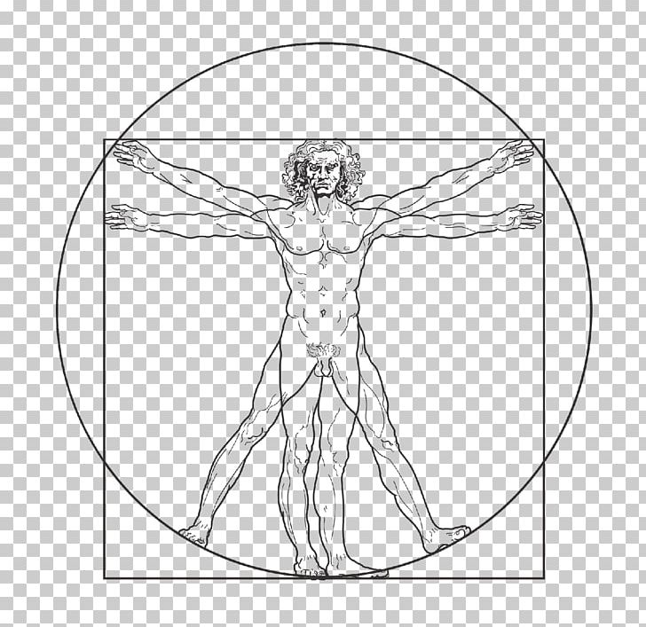 Vitruvian Man Drawing PNG, Clipart, Angle, Area, Arm, Art, Artwork Free PNG Download