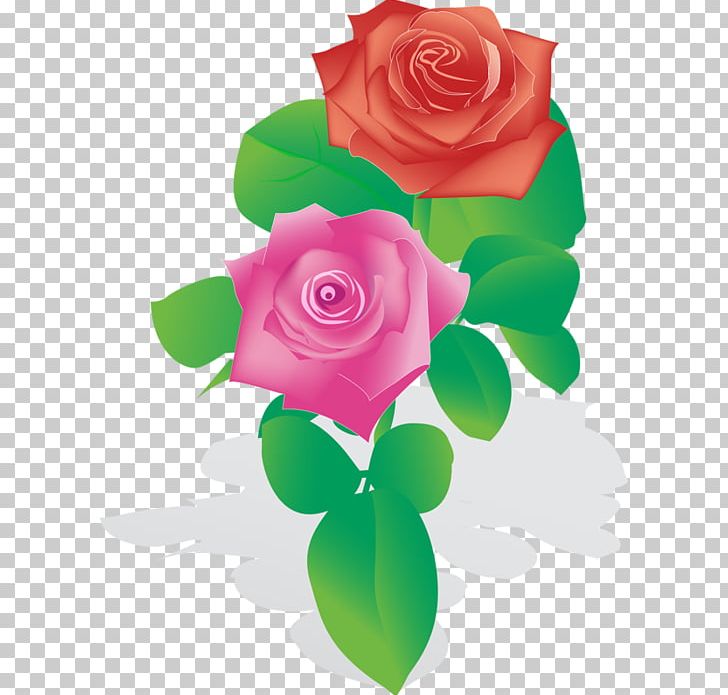 Wind Rose Flower Drawing PNG, Clipart, Cut Flowers, Drawing, English Roses, Floral Design, Floristry Free PNG Download