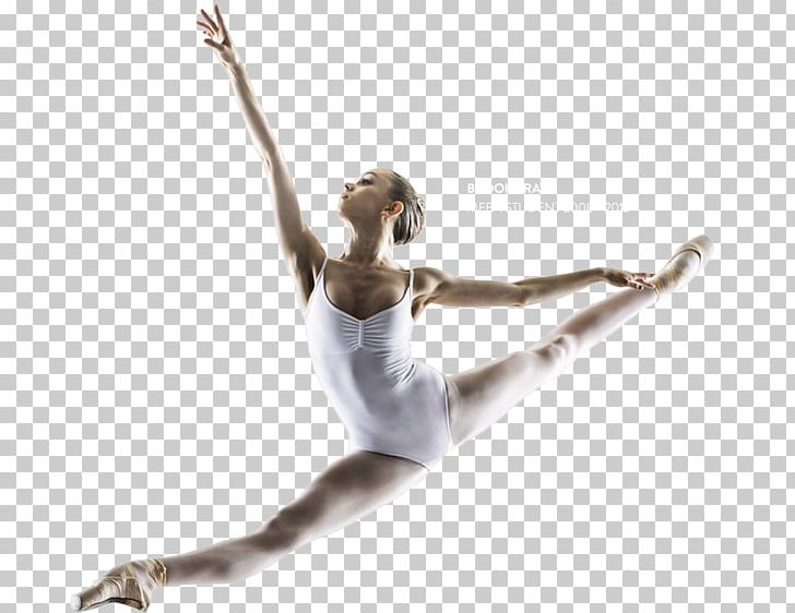 Ballet Dancer Performing Arts PNG, Clipart, Arm, Art, Arts, Auckland, Ballet Free PNG Download
