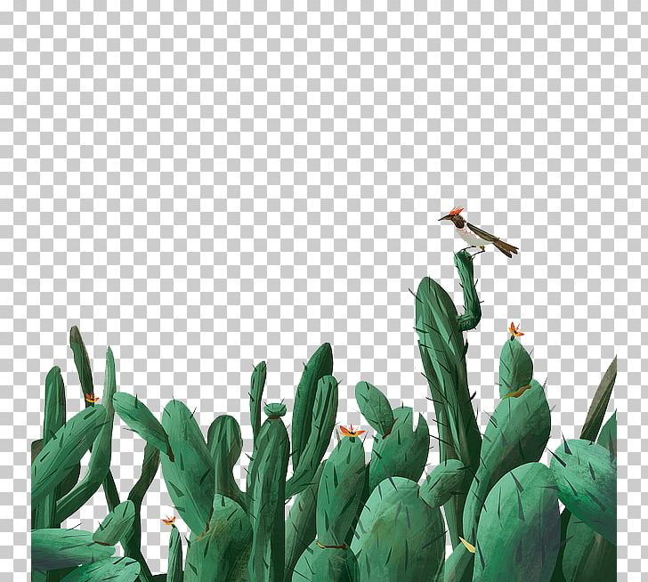 Cactaceae Illustration PNG, Clipart, Barbary, Birds, Cactus, Cactus Cartoon, Cactus Flower Free PNG Download