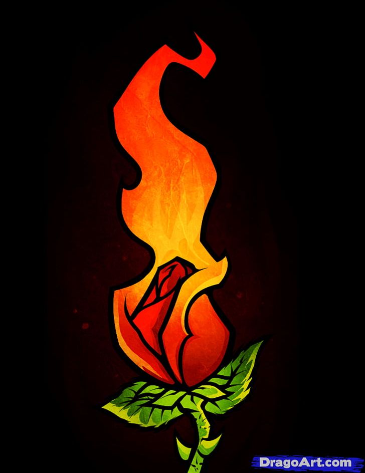 Drawing Rose Fire Flower PNG, Clipart, Art, Black Rose, Cartoon,  Combustion, Computer Wallpaper Free PNG Download