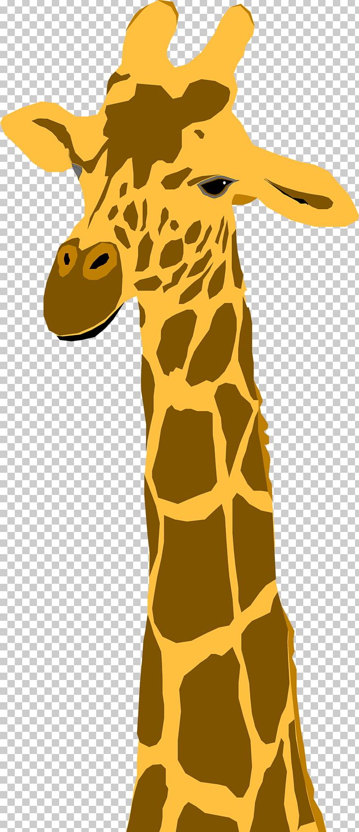 Giraffe T-shirt Animation PNG, Clipart, Animals, Animation, Computer Animation, Fauna, Giraffe Free PNG Download