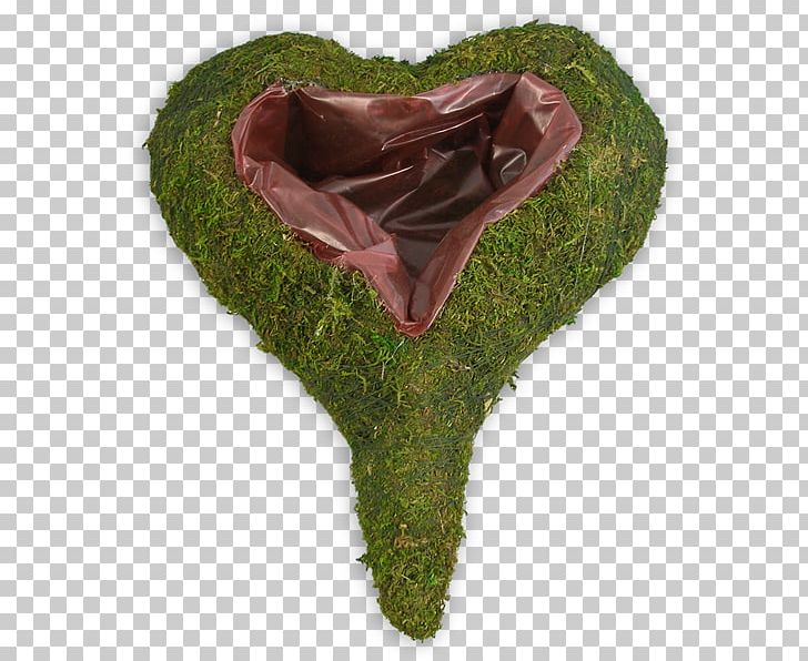 Heart PNG, Clipart, German Spitz Mittel, Grass, Heart, Leaf, Miscellaneous Free PNG Download