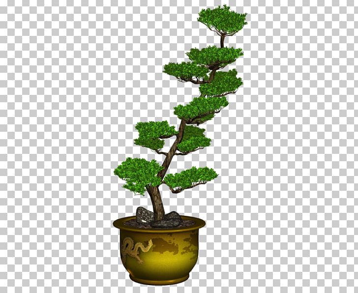 Sageretia Theezans Flowerpot Tree Ornamental Plant PNG, Clipart, Agac Resimleri, Bonsai, Cam, Cam Resimleri, Evergreen Free PNG Download