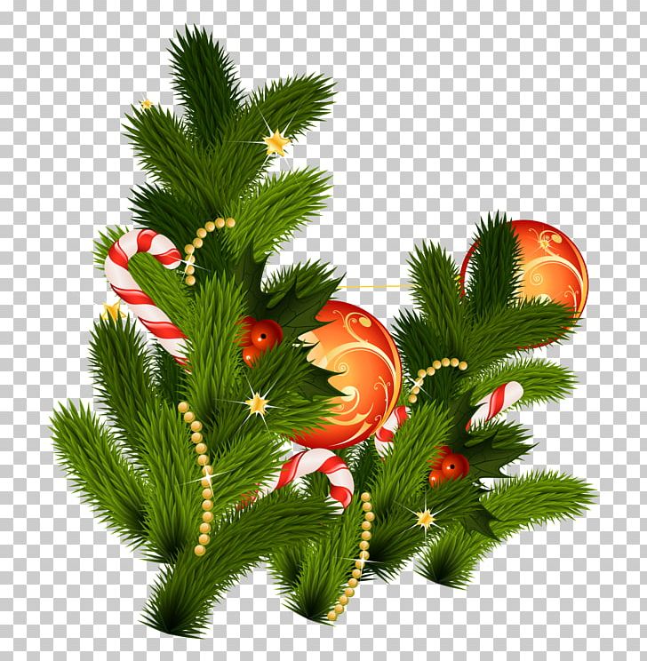 Christmas Tree PNG, Clipart, Christmas Decoration, Christmas Frame, Christmas Lights, Christmas Ornament, Christmas Tree Free PNG Download