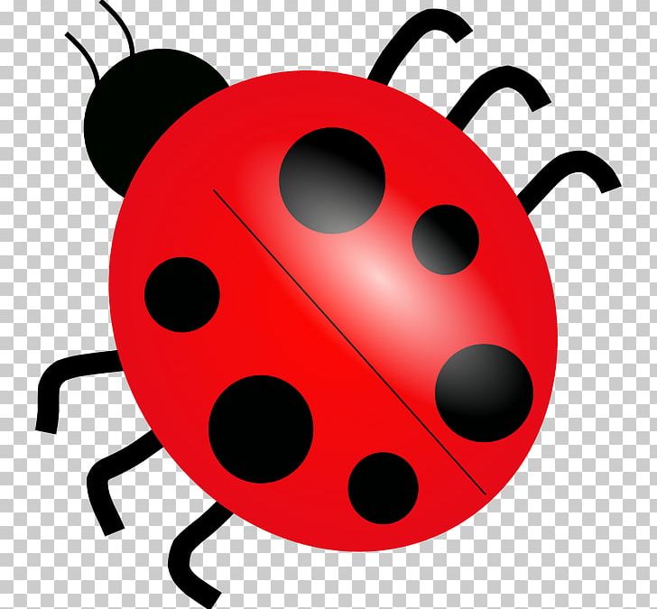 cute ladybug drawing