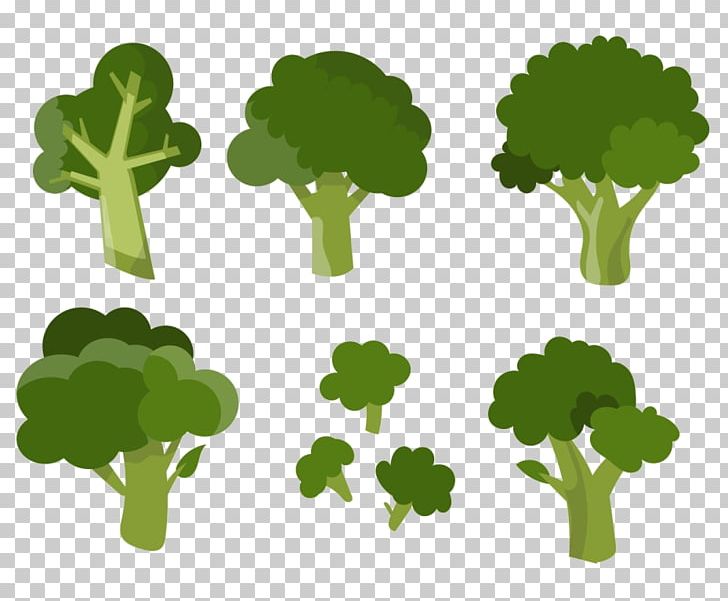 Broccoli Vegetable PNG, Clipart, Broccoli 0 0 3, Broccoli Art, Broccoli Draw, Broccoli Sketch, Broccoli Sprout Free PNG Download