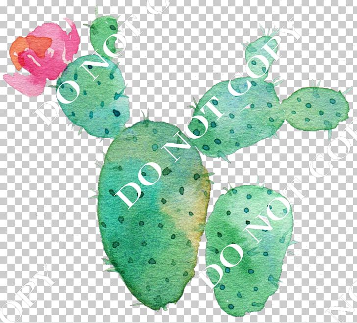 Cactaceae Flower Succulent Plant Watercolor Painting PNG, Clipart, Art, Cactaceae, Cactus, Cactus Creative, Caryophyllales Free PNG Download