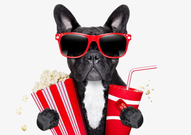 Creative Cinema Dog PNG, Clipart, Animal, Bulldog, Cinema Clipart, Clips, Coke Free PNG Download