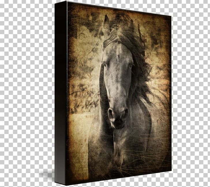 Friesian Horse Mustang Stallion Mane Pony PNG, Clipart, Black, Draft Horse, Dressage, Friesian Horse, Hand Free PNG Download