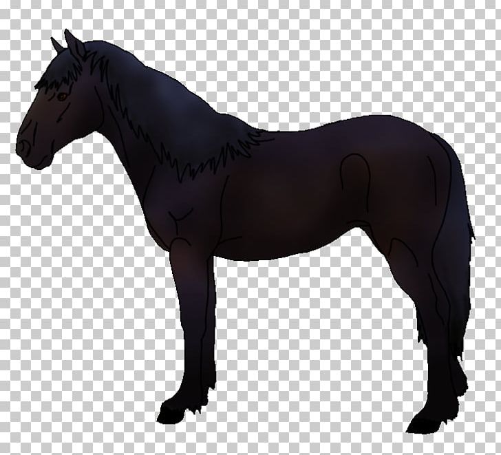 Horse Pony Photography Stallion PNG, Clipart, Animal Figure, Animals, Deviantart, Equestrian, Equitation Free PNG Download