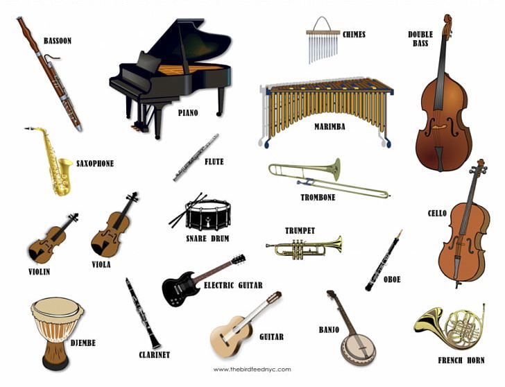 Musical Instrument String Instrument Flute Musician PNG, Clipart, Angle, Cello, Clarinet, Electronic Musical Instrument, Flute Free PNG Download