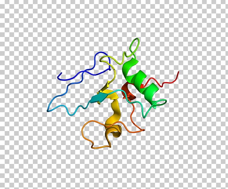 THAP1 PAWR Gene Dystonia Protein PNG, Clipart, Animal Figure, Apoptosis, Area, Art, Artwork Free PNG Download