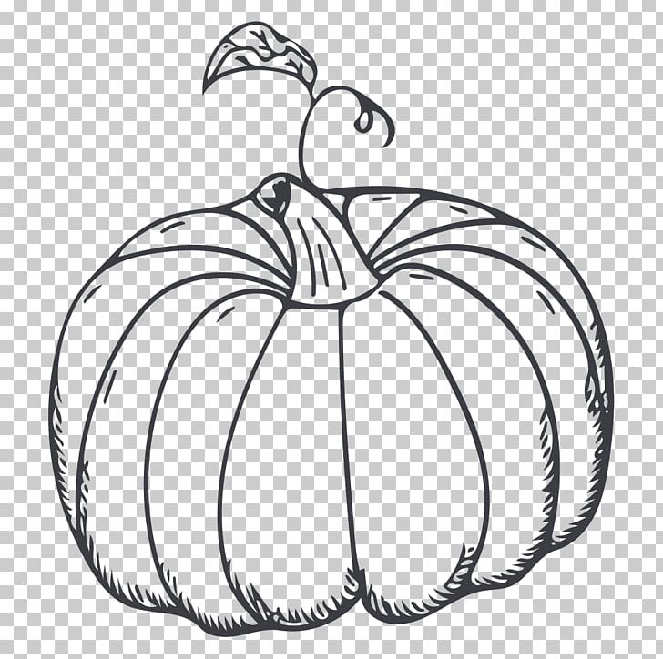 Calabaza Kabocha Pumpkin Vegetable Png Clipart Black And White Body Jewelry Circle Cucurbita Maxima Decor Free