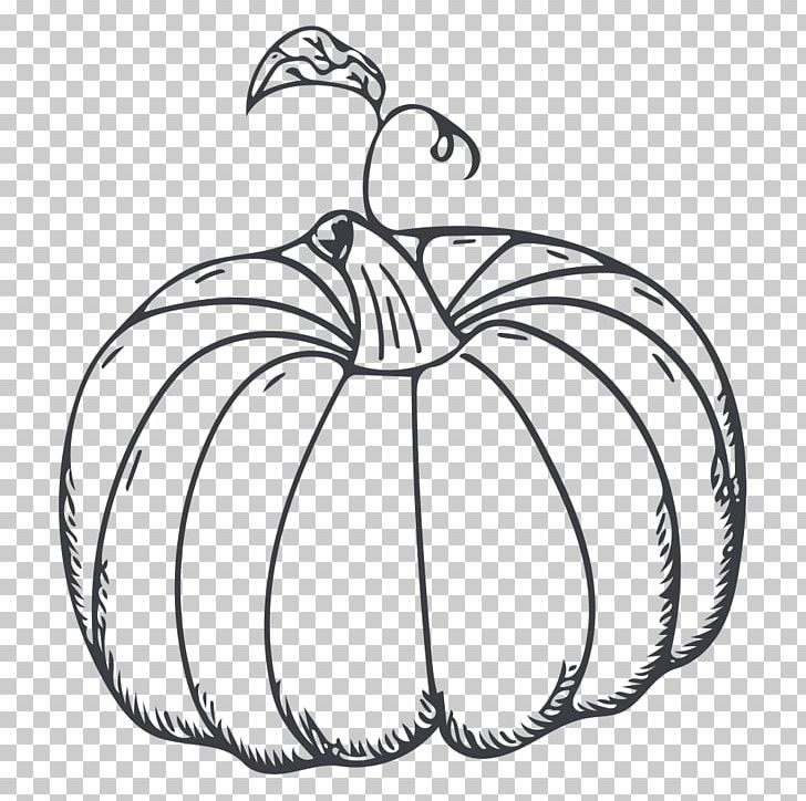 Calabaza Kabocha Pumpkin Vegetable PNG, Clipart, Black And White, Body Jewelry, Circle, Cucurbita Maxima, Decor Free PNG Download