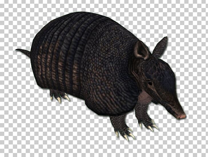 Armadillo Peccary Snout Terrestrial Animal PNG, Clipart, Animal, Animal Figure, Armadillo, Cingulata, During Free PNG Download