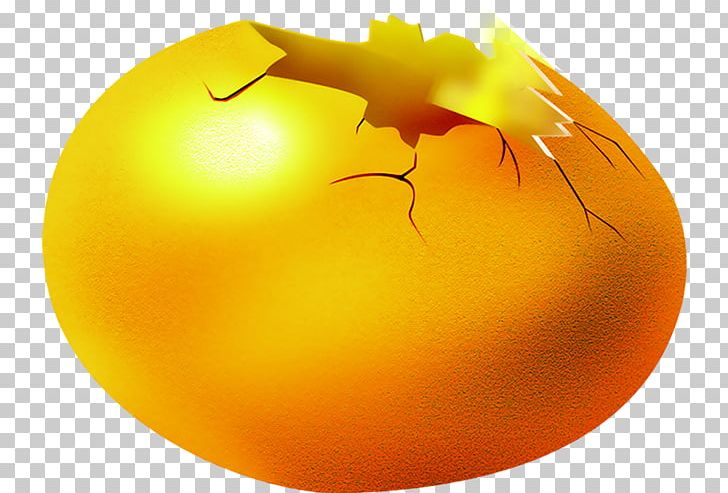 Golden Egg PNG, Clipart, Been, Broke, Calabaza, Down, Download Free PNG Download