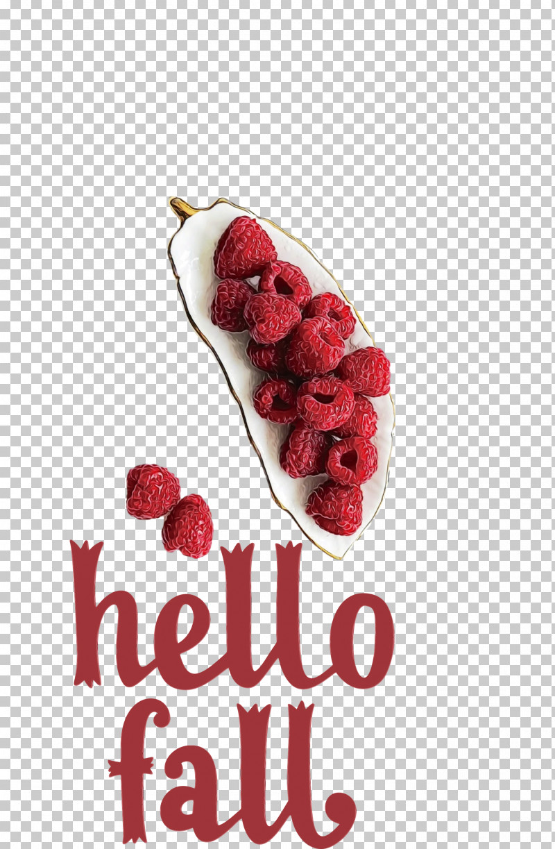 Natural Food Cranberry Superfood Flavor Berry PNG, Clipart, Autumn, Berry, Cranberry, Fall, Flavor Free PNG Download
