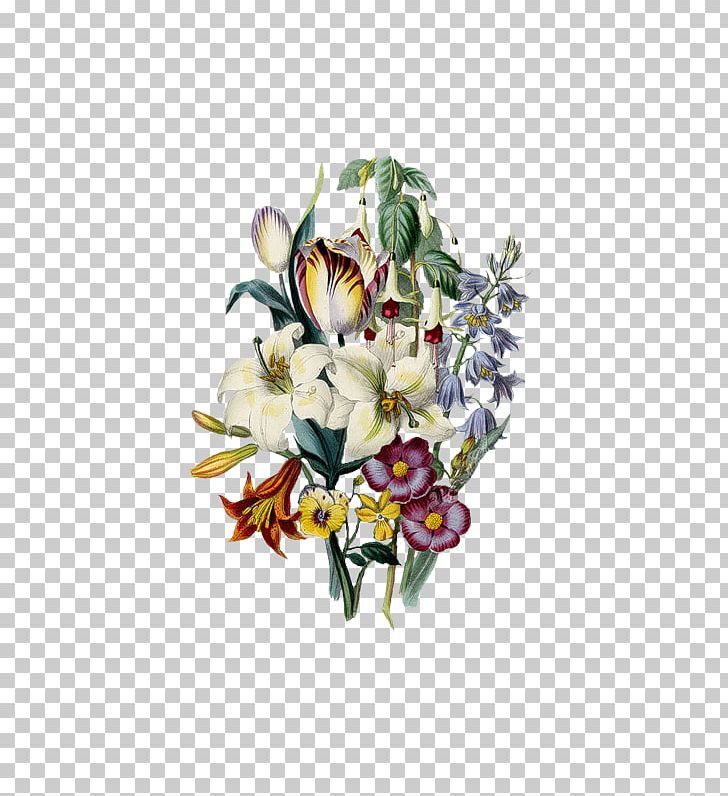 Botany Art Drawing Printing Botanical Illustration PNG, Clipart, Art, Botany, Country, Country Style, Creativity Free PNG Download