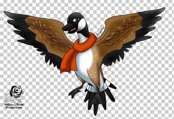 Duck Canada Goose Canada Goose Bird PNG, Clipart, Anatidae, Animals, Beak, Bird, Canada Free PNG Download