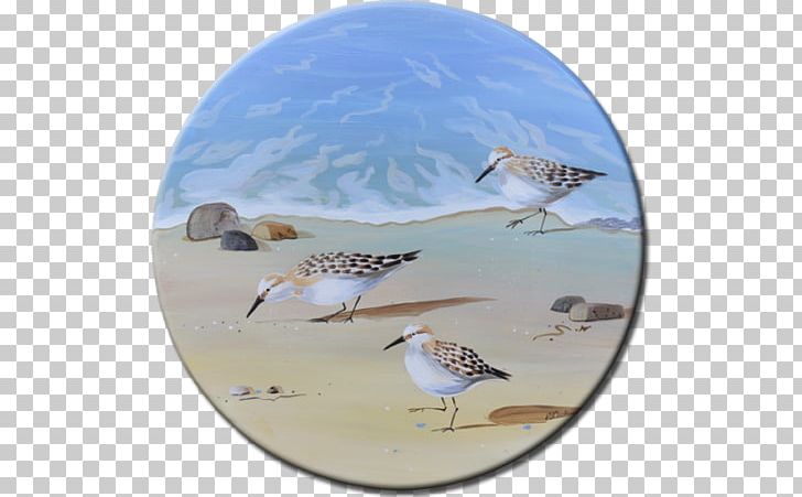 Bird Sandpiper Painting Oil Paint PNG, Clipart, Acrylic Paint, Animals, Art, Beach, Bird Free PNG Download