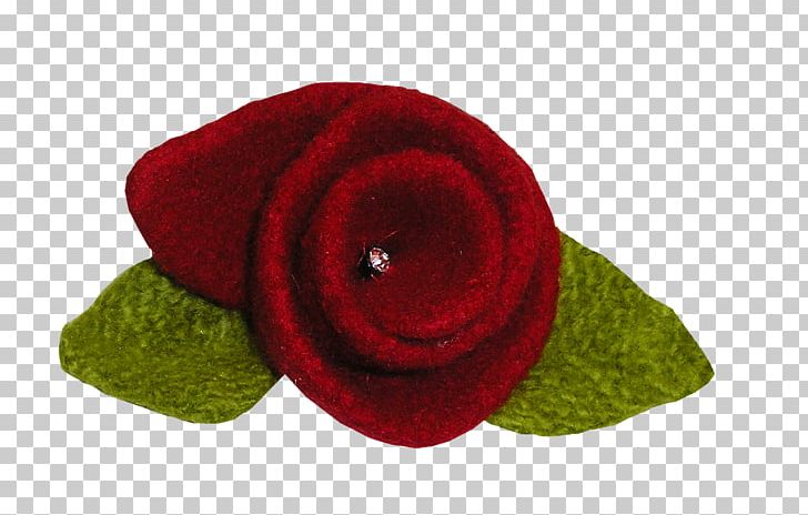 Garden Roses Cut Flowers Petal Wool PNG, Clipart, Cut Flowers, Flower, Flowering Plant, Flowers, Garden Free PNG Download