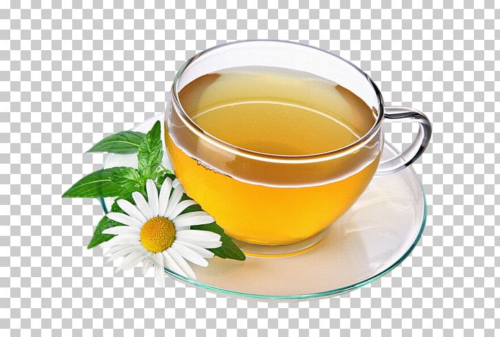 Green Tea Herbal Tea Drink Chamomile PNG, Clipart, Assam Tea, Black Tea, Cafe, Ceylan, Chamomile Free PNG Download