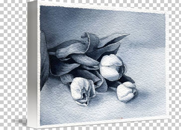 Still Life Photography Flower Frames PNG, Clipart, Artwork, Flower, Nature, Painting, Photography Free PNG Download