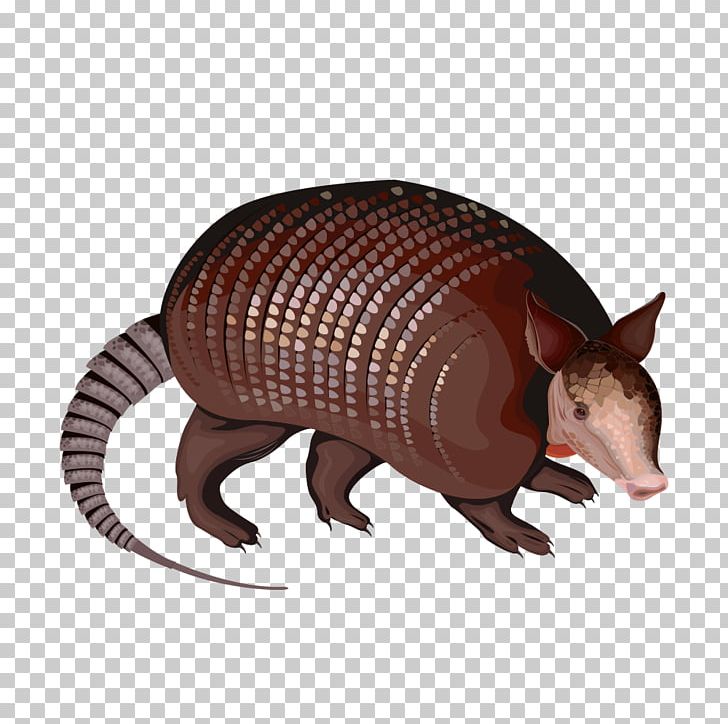 Computer Mouse Comics PNG, Clipart, Animal, Animal Illustration, Animals, Animation, Armadillo Free PNG Download