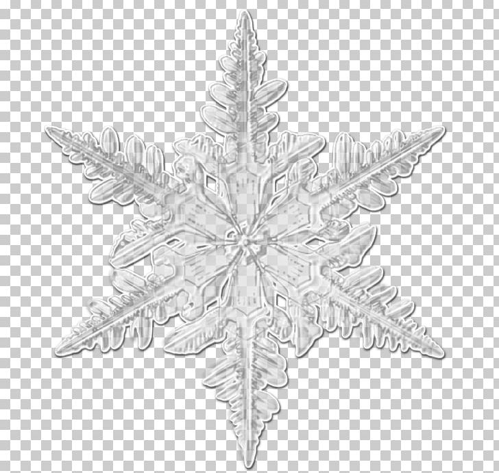 Snowflake Portable Network Graphics Christmas Day Christmas Ornament White PNG, Clipart, Advertising, Black And White, Blog, Christmas Day, Christmas Ornament Free PNG Download