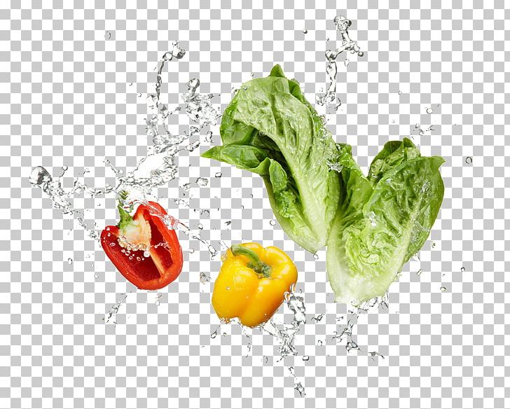 Vegetarian Cuisine Vegetable Stock Photography Chili Pepper PNG, Clipart, Cabbage, Caijiao, Capsicum, Diet Food, Food Free PNG Download