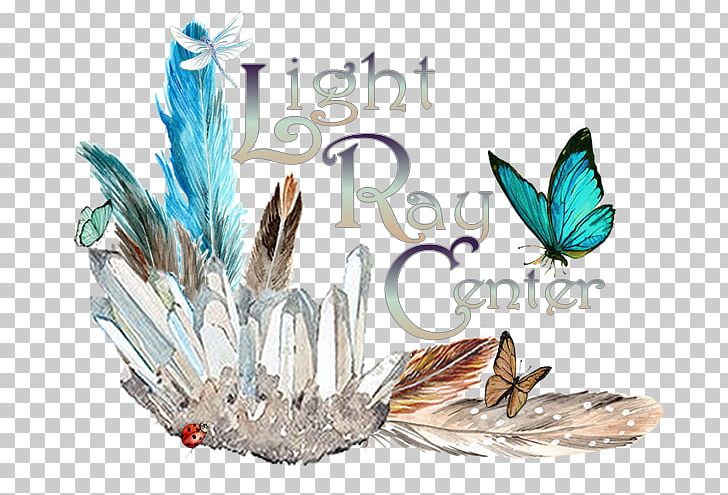 Light Ray Rainbow Wheel Chakra PNG, Clipart, Butterfly, Cargo, Chakra, Disclaimer, Feather Free PNG Download