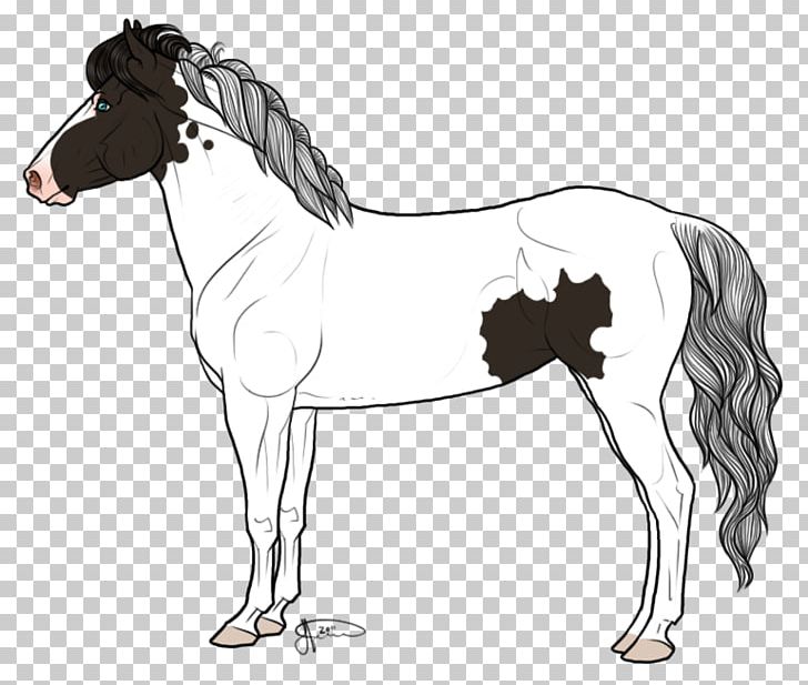 Mule Icelandic Horse Mare Mustang Stallion PNG, Clipart, Black And White, Bridle, Buckskin, Colt, Drawing Free PNG Download