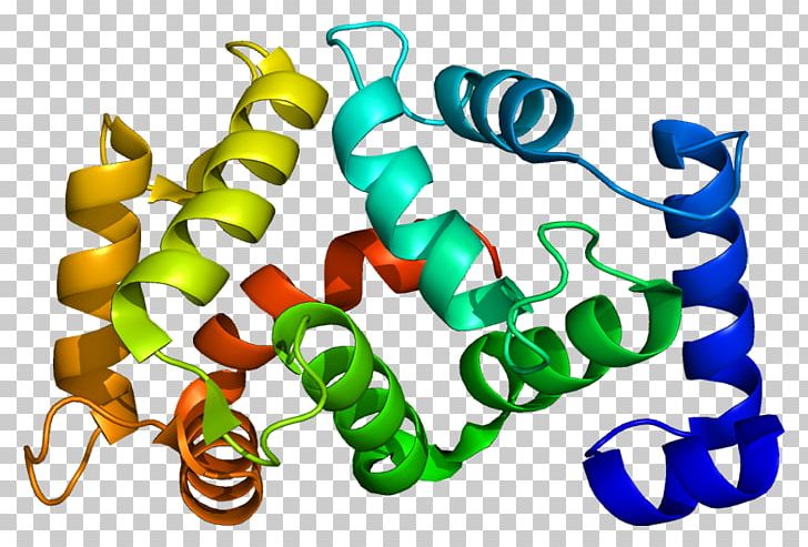 Tetrameric Protein Killer-cell Immunoglobulin-like Receptor KCNIP1 Potassium Channel PNG, Clipart, 1 E, 1 S, Animal Figure, Antibody, Artwork Free PNG Download