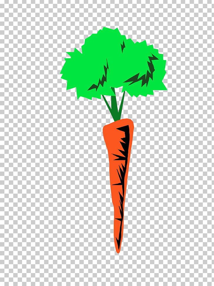 Autotroph Photosynthesis Organism Plant Heterotroph PNG, Clipart, Biology, Carrot Juice, Cartoon Carrot, Grass, Leaf Free PNG Download