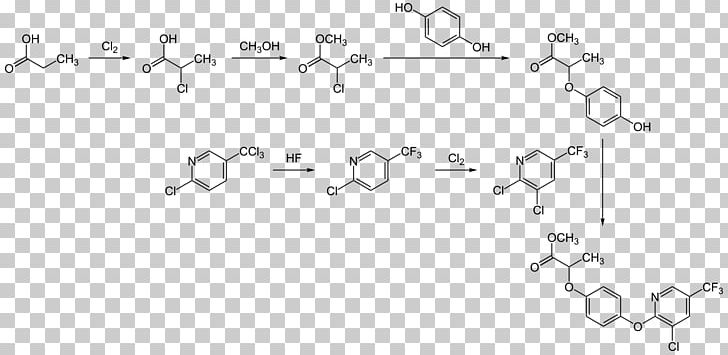 Biomolecule Phytochemistry Proteasome Small Molecule PNG, Clipart, Angle, Area, Auto Part, Biomolecule, Black And White Free PNG Download