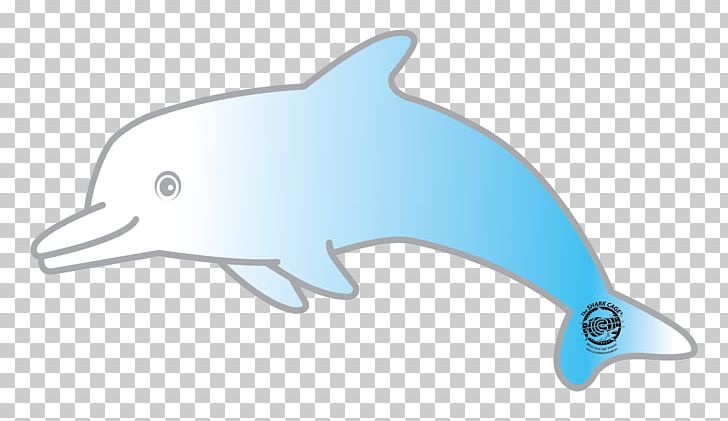 Common Bottlenose Dolphin Tucuxi Porpoise PNG, Clipart, Animal, Animal Figure, Beak, Biology, Bottlenose Dolphin Free PNG Download